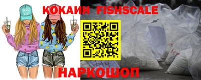 индика Ярославль