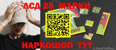 индика Ярославль