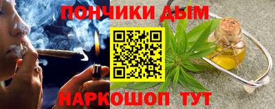 индика Ярославль