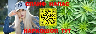 индика Ярославль