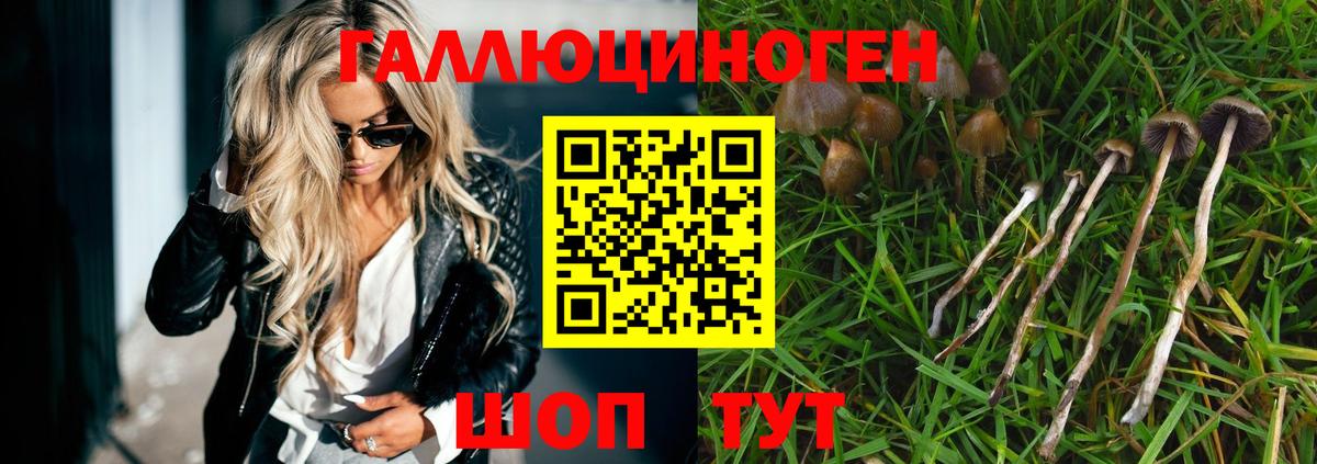Галлюциногенные грибы мицелий Аргун